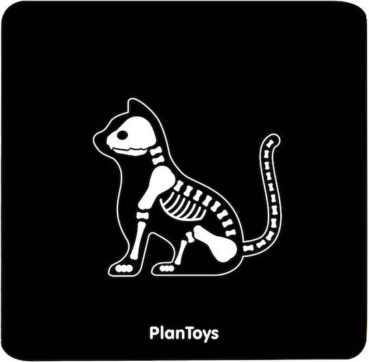 Plan Toys Wooden Veterinary Tools For 3+ Years