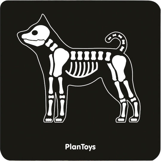 Plan Toys Wooden Veterinary Tools For 3+ Years