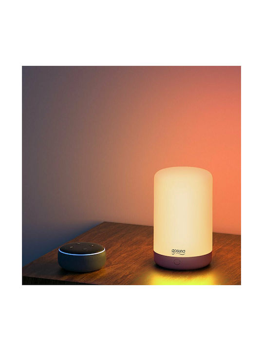 Gosund WiFi Decorative Lamp White