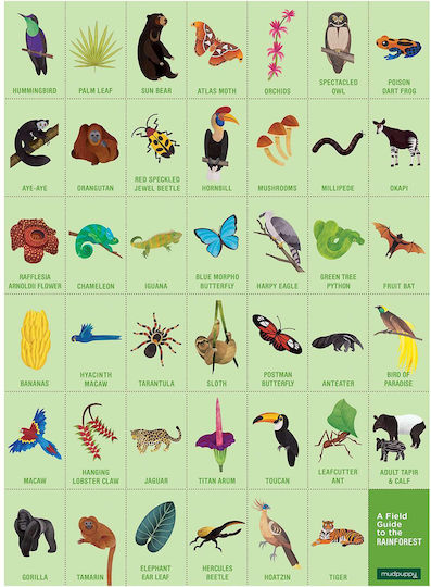 Kids Puzzle Tropical Forest for 4+ years old+ Years 64pcs Mudpuppy