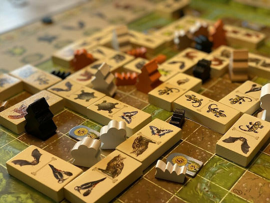Brettspiel Renature für 2-4 Spieler Ab 8+ Jahren (EN) Capstone Games