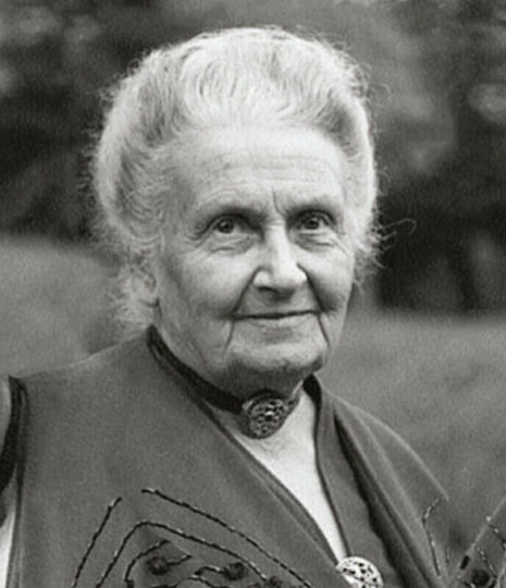 AS Τα Ζώα Montessori Lernspiel Wissen Sapientino für 2+ Jahre alt Jahre