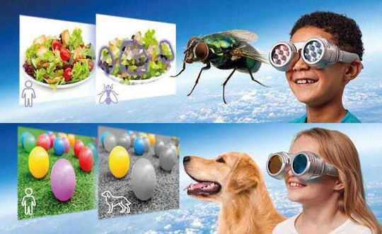 Brainstorm See the World Through Others’ Eyes STEM Lernspiel Wissen für 8+ Jahre Jahre