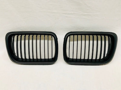 Carner Dekorative Auto Maske BMW E36 / Serie 3 (E36) / Serie 3