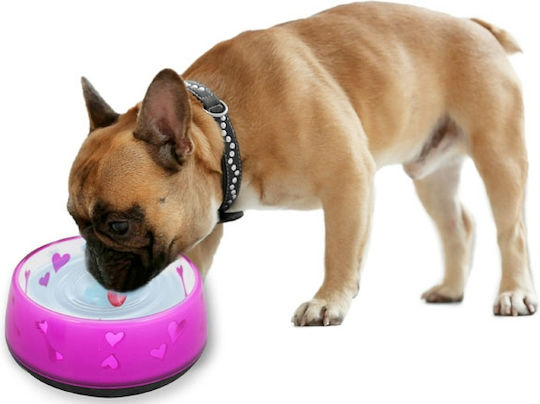 All For Paws Love Plastic Bowl Food & Water for Dog 970ml 18cm in Pink Color AF5733