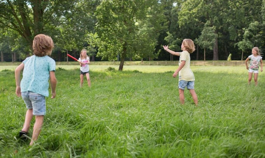 BS Toys Game Target Practice Outdoor Batting