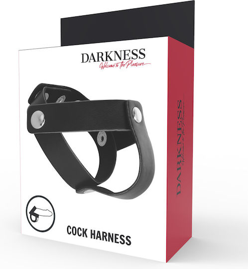 Darkness Leather Penis & Testicles Strap H-Piece Divide Black