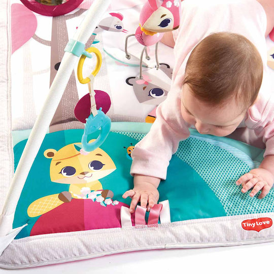 Tiny Love Tiny Princess Tales Γυμναστήριο Δραστηριοτήτων για Νεογέννητα