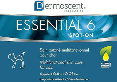 Dermoscent Essential 6 Spot On Cat Nutrition Supplement 4 pieces