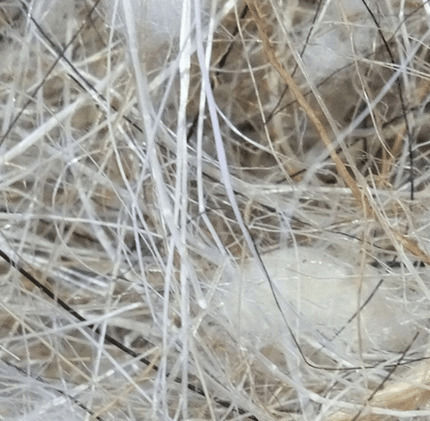 Sisal Fibre Υλικό Φωλιάς Πτηνών