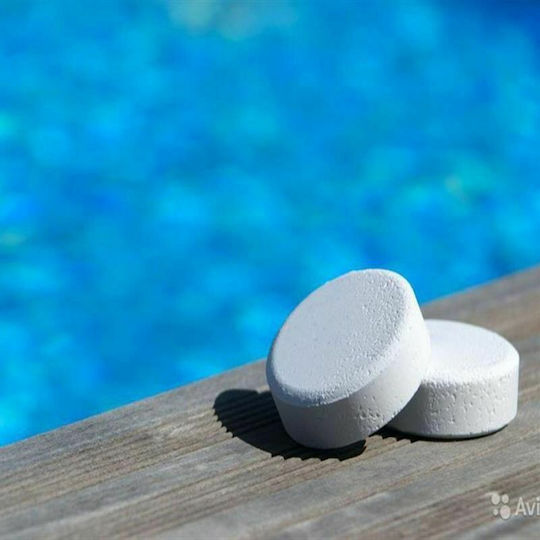 Intex Swimming Pool Chlorine Floater