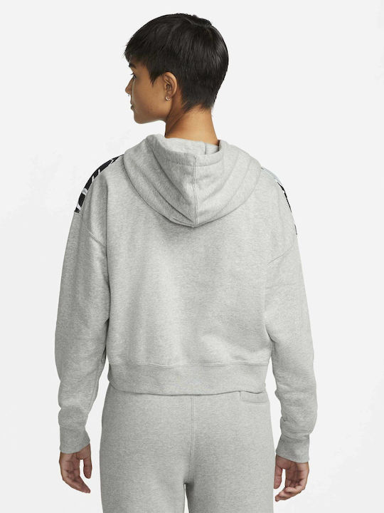 Jordan Women's Cropped Hooded Sweatshirt Gray