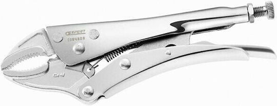Expert Tools Πένσα Γκριπ Μήκους 250mm