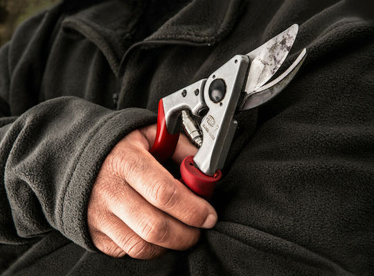 Felco 7 Ножица за подрязване с Максимален Диаметър на Рязане 25мм