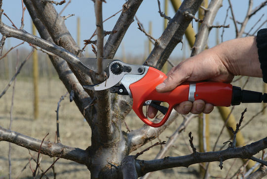 Felco 801 Ножица за подрязване & Максимален Диаметър на Рязане 30мм
