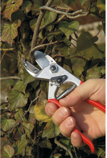 Felco 310 Ножица за гроздобер с Максимален Диаметър на Рязане 10мм