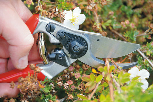 Felco 10 Baumschere Länge 21cm