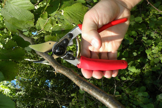 Felco 12 Pruning Shears Length 20cm with Maximum Cutting Diameter 20mm