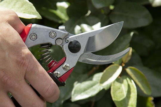 Ars VS-8XR Pruning Shear Length 20cm with Maximum Cutting Diameter 22mm