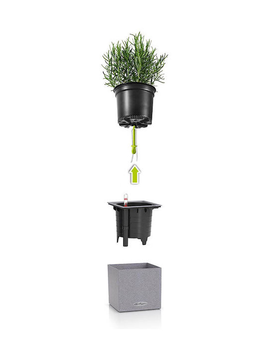Lechuza Canto Stone Auto-udare Ghiveci Plastic 14x14x13.5cm.