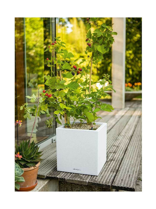 Lechuza Canto Stone Auto-udare Ghiveci Plastic 14x14x13.5cm.