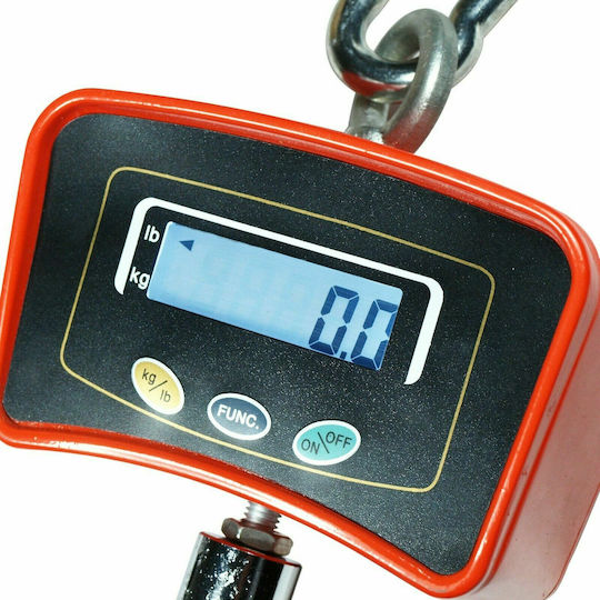 Electronic Professional Hanging Scale with Weighing Capacity of 500kg and Division 100gr