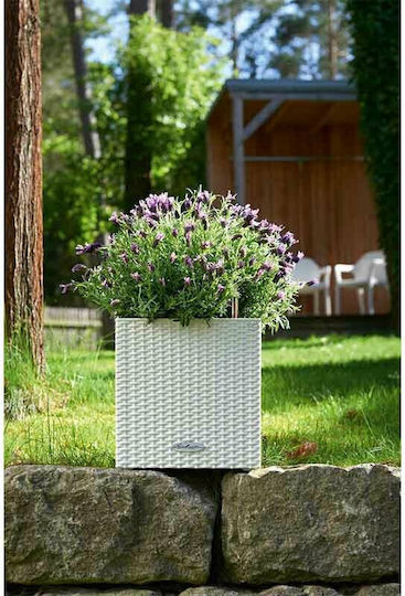Lechuza Cube Cottage Αυτοποτιζόμενη Γλάστρα Πλαστική Λευκή 29.5x29.5εκ.