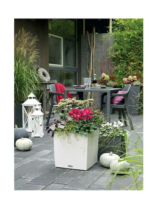 Lechuza Cube Cottage Auto-udare Ghiveci Plastic 29.5x29.5cm.