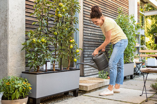 Lechuza Trio Stone Self-watering Planter Box Plastic Black 100x29.5x34cm.