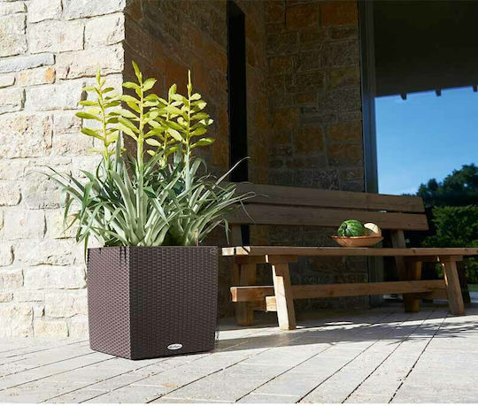 Lechuza Cube Cottage Auto-udare Ghiveci Plastic 49x49x49.5cm.