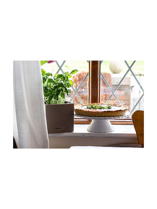 Lechuza Canto Stone Auto-udare Ghiveci Plastic 14x14x13.5cm.