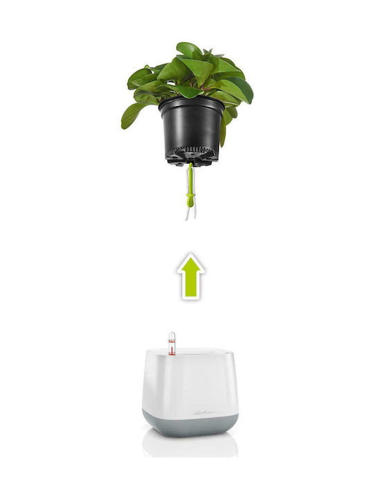 Lechuza Yula Self-watering Pot Plastic 16.5x16.5cm.
