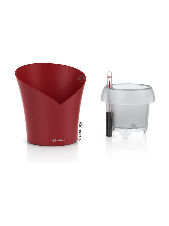 Lechuza Orchidea Self-watering Pot Plastic 18x18x20cm.