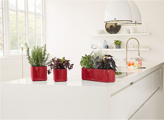 Lechuza Cube Glossy Αυτοποτιζόμενη Γλάστρα Πλαστική Κόκκινη 17x17x16εκ.