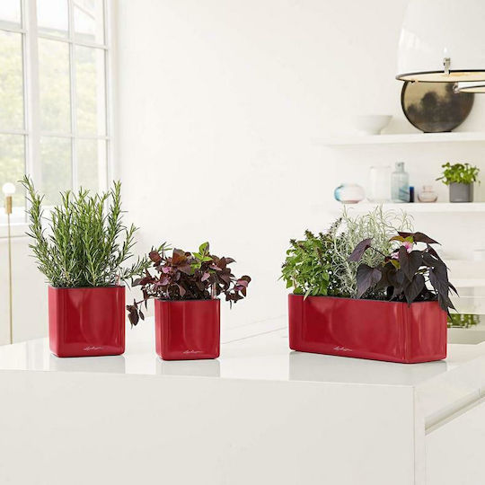 Lechuza Cube Glossy Αυτοποτιζόμενη Γλάστρα Πλαστική Κόκκινη 17x17x16εκ.