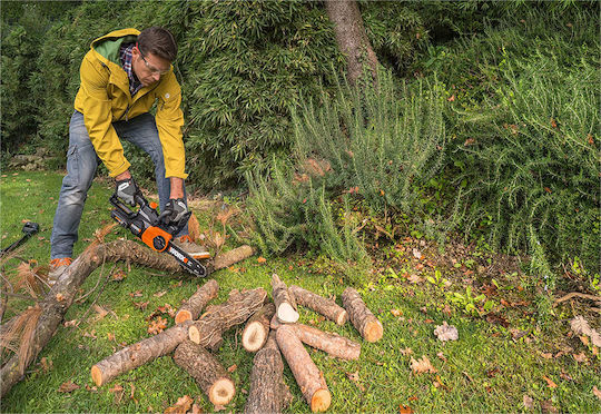 Worx WG322E Pruning Battery Chainsaw 1x2Ah 20V 2.8kg with Blade 25cm