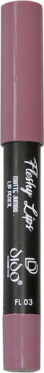 Dido Cosmetics Fleshy Lips Matte Jumbo Lip Pencil Pencil Κραγιόν Matte No 03 2gr