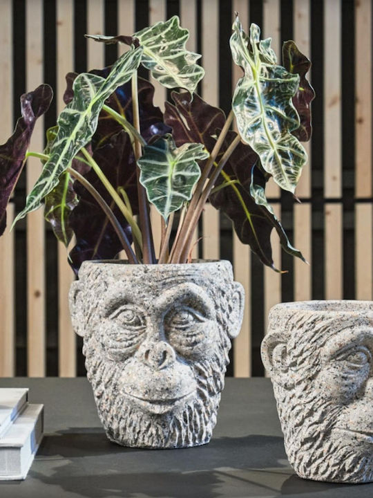 Villa Collection Planter Concrete Gray 19x19x19cm. Gorilas