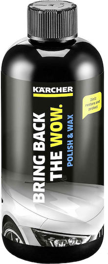 Karcher RM 660 Καθαριστικό Πλυστικού 500ml