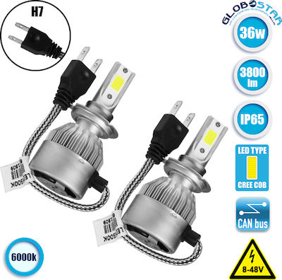 GloboStar Lamps Car C6 Economy Line H7 LED 6000K Cold White 8-48V 36W 2pcs