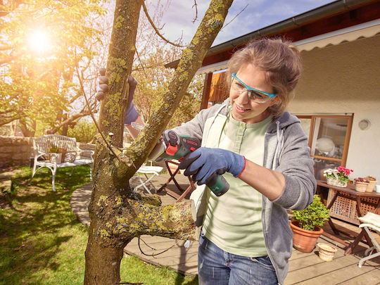 Bosch EasyCut Κλαδευτικό Αλυσοπρίονο Μπαταρίας 1x2.5Ah 12V 0.9kg με Λάμα 13cm