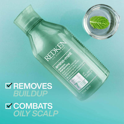 Redken Retail Amino-Mint Scalp Șampoane de Utilizare Zilnică pentru Toate Tipurile Păr 1x300ml