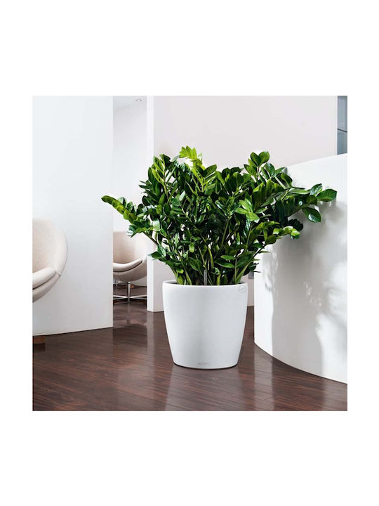 Lechuza Classico Self-watering Pot Plastic White 42x42x39.5cm.