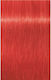 Schwarzkopf Igora Royal 0-88 Κόκκινο Μίξτον 60ml