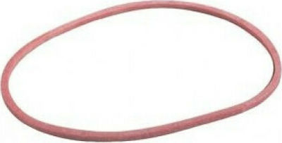 Alco Rubber Band N.737 Red Ø100mm 50gr