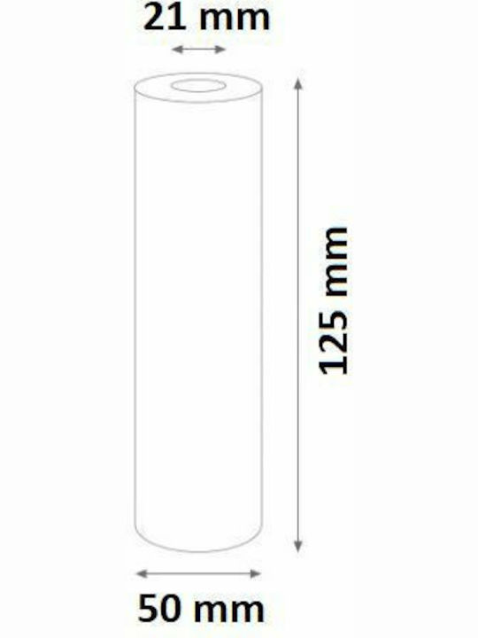 Atlas Filtri Water Filter Replacement Central Water Filtration System 10" HA Mignon SX 0.45 μm