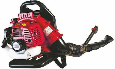 Raider RD-GBV06 Gasoline Handheld Blower