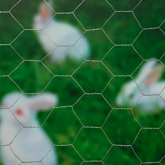 Nature Plasă de sârmă Galvanizat Gri 0.5x10m