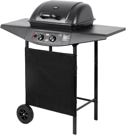 Teesa 2000 Gasgrill Rost 46cmx34cmcm mit 2 cm 5kW