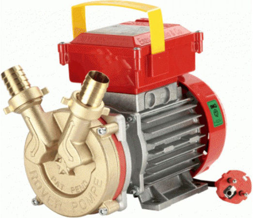 Rover Pompe BE-M 25 CE Single Phase Transfer Pump with 3/8" Inlet and 0.8hp Horsepower